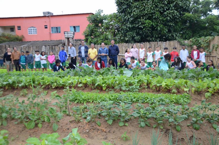 Horta comunitária leva vida para antigo ponto viciado de lixo em Areinha