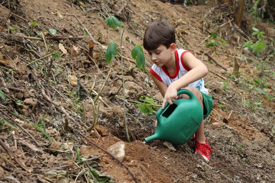 Educação Ambiental: alunos fazem o plantio de árvores em área rural de Viana