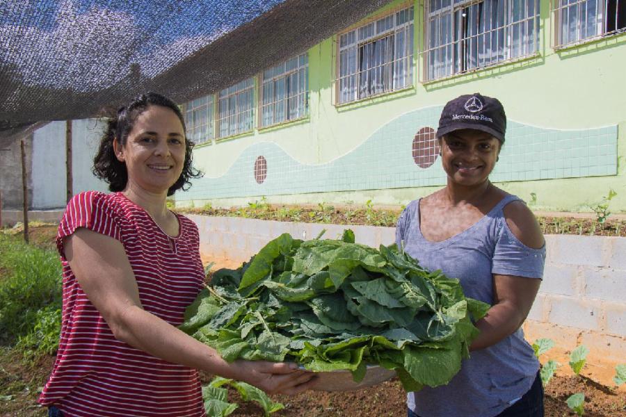 Horta leva cor e sabor para hora do recreio em escola de Marcílio de Noronha