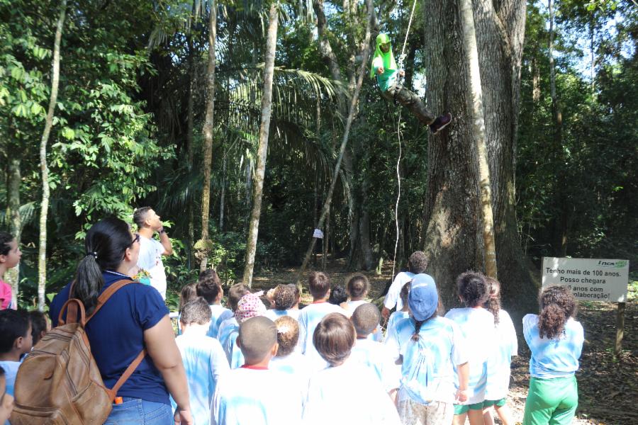 Em meio à natureza: alunos contam com recurso diferenciado nas aulas de Educação Ambiental