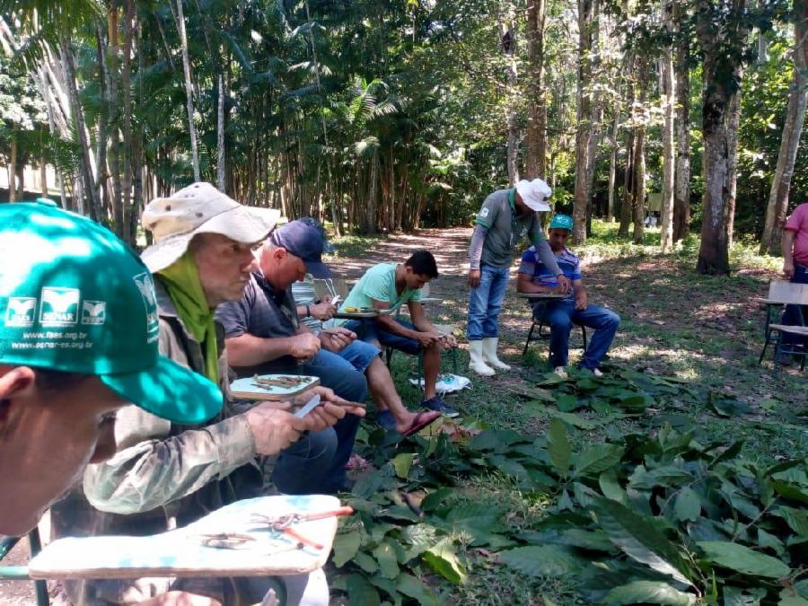 Produtores rurais participam de curso de Enxertia de Cacau