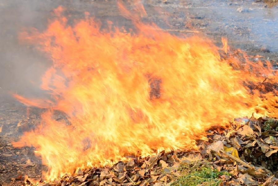 Meio Ambiente alerta: queima de lixo doméstico é crime ambiental