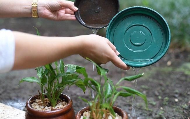 Saúde orienta para prevenção à dengue durante o verão