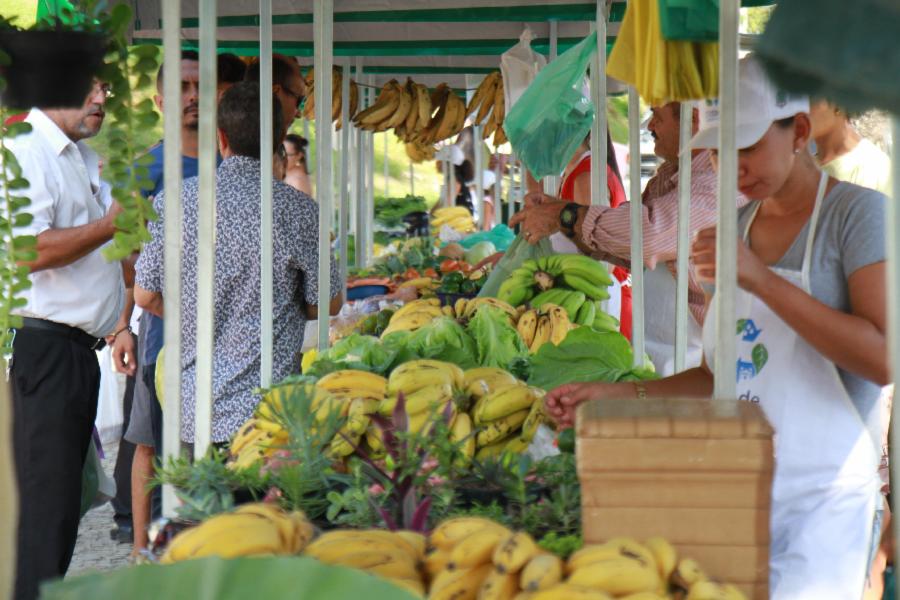 Feira do produtor rural nesta sexta-feira (13) em Viana Sede