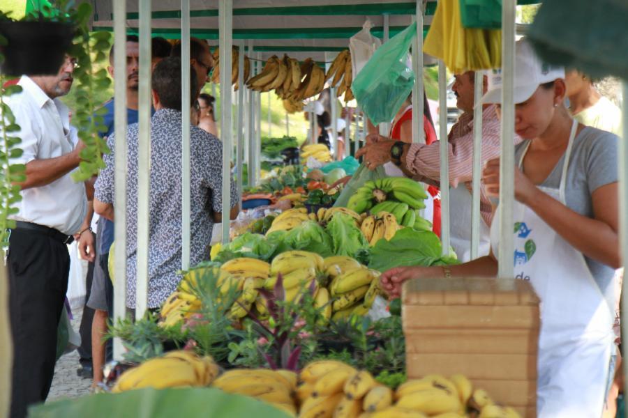 Produtos orgânicos são destaques na Feira do Produtor Rural de Viana