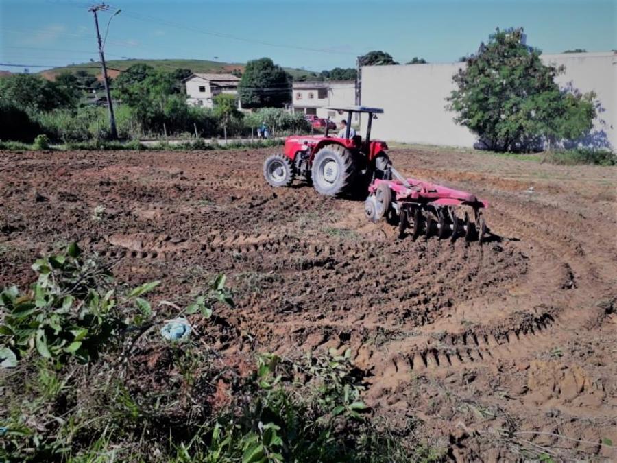 Agricultura prepara área para instalar horta de ervas medicinais