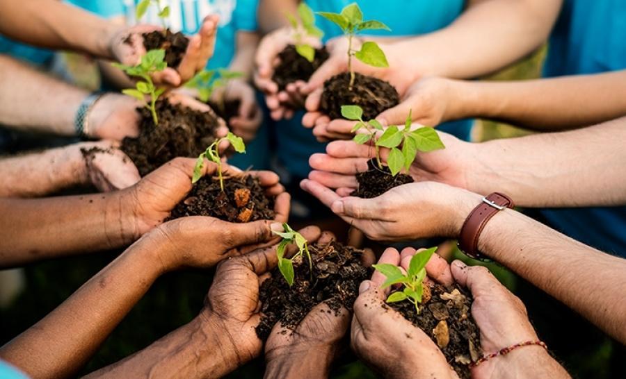 Projeto Viveiro Educador orienta estudantes sobre prevenção do meio ambiente