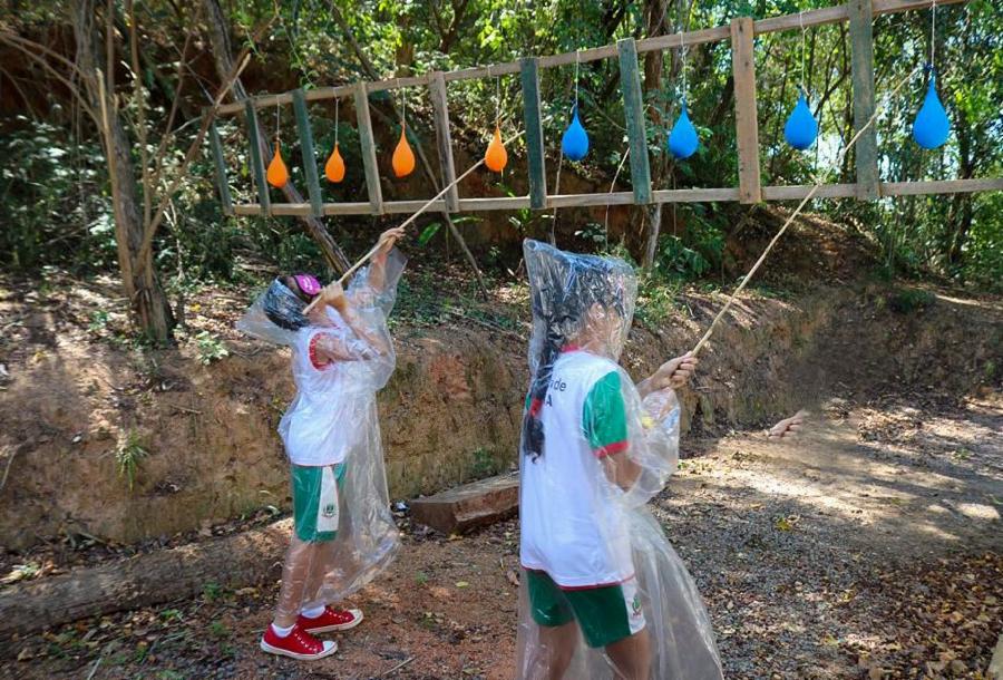 Semana da Árvore une brincadeiras e conteúdo sobre sustentabilidade