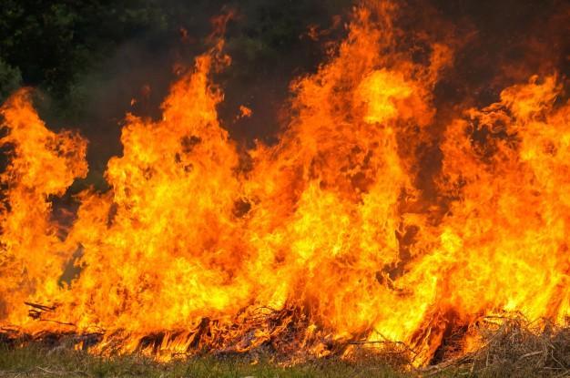 Prevenção de incêndios florestais é tema de palestra na próxima quinta (23)