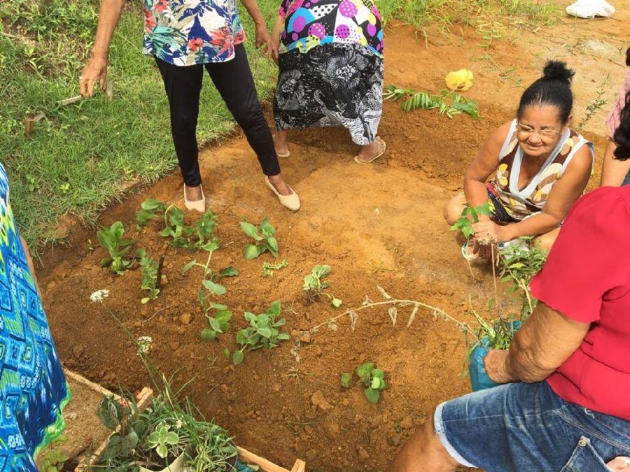 Idosos do Centro de Convivência criam horta comunitária