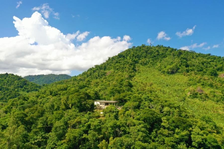 Aberta consulta pública sobre Programa Municipal de Educação Ambiental