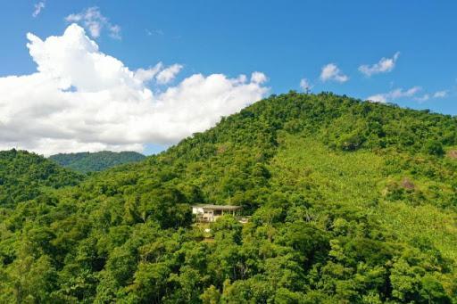 Parque Municipal Rota das Garças completa 19 anos no domingo (21)