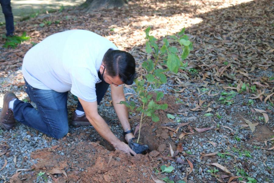 Plantio de mudas marca a comemoração do aniversário do Parque Municipal Rota das Garças