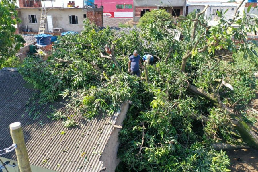 Defesa Civil de Viana registra mais de 90 ocorrências após chuvas e ventos fortes da última quarta (31)