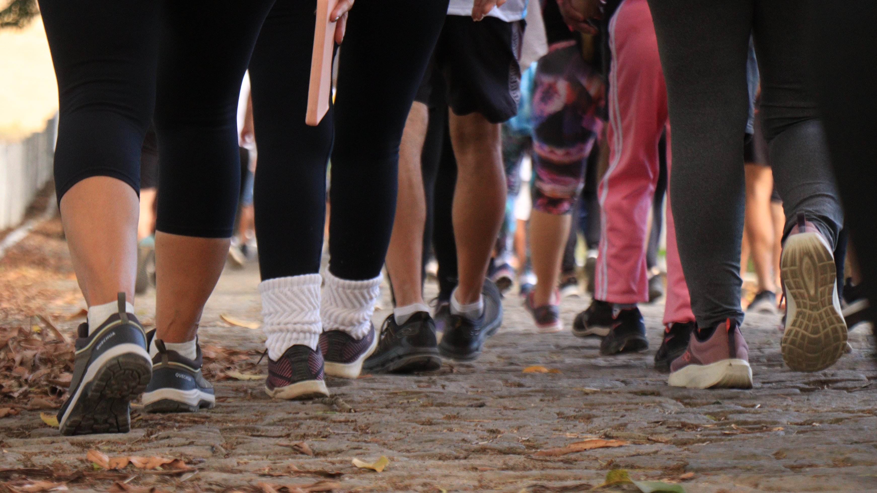 Confira a lista de inscritos para 24ª Caminhada Ecocultural de Viana