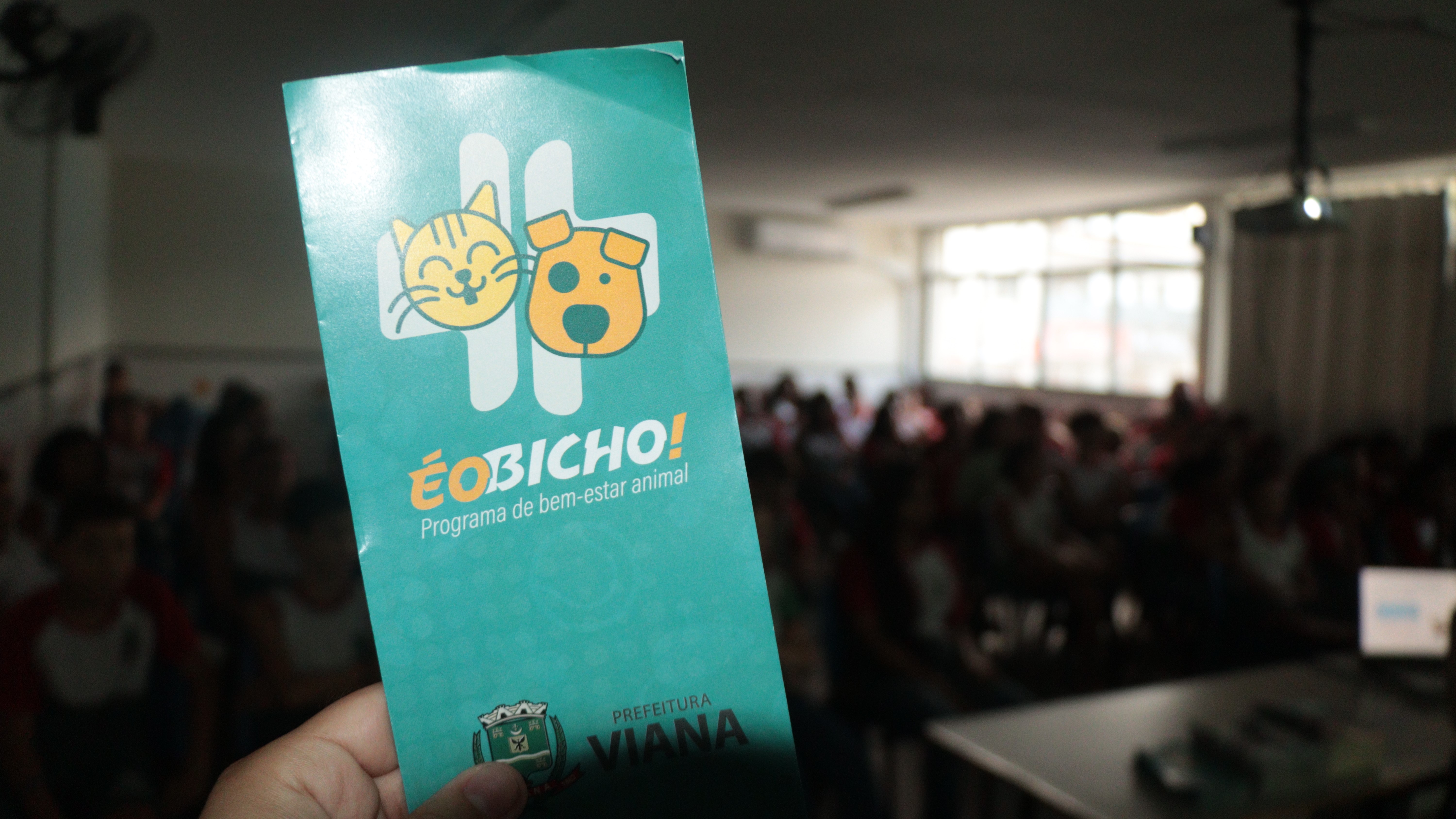 Respeito começa na escola: projeto em Viana ensina crianças a cuidar e proteger os animais