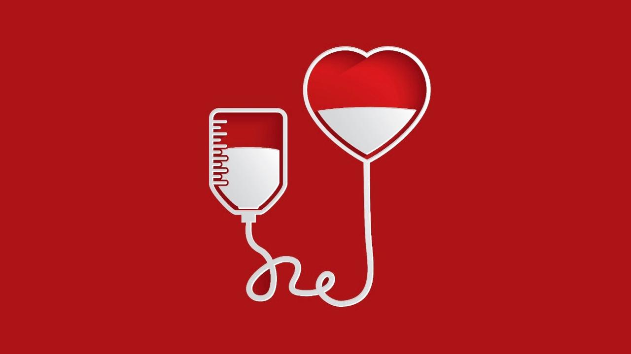 Viana Solidária: Município promove ação especial de doação de sangue no Junho Vermelho