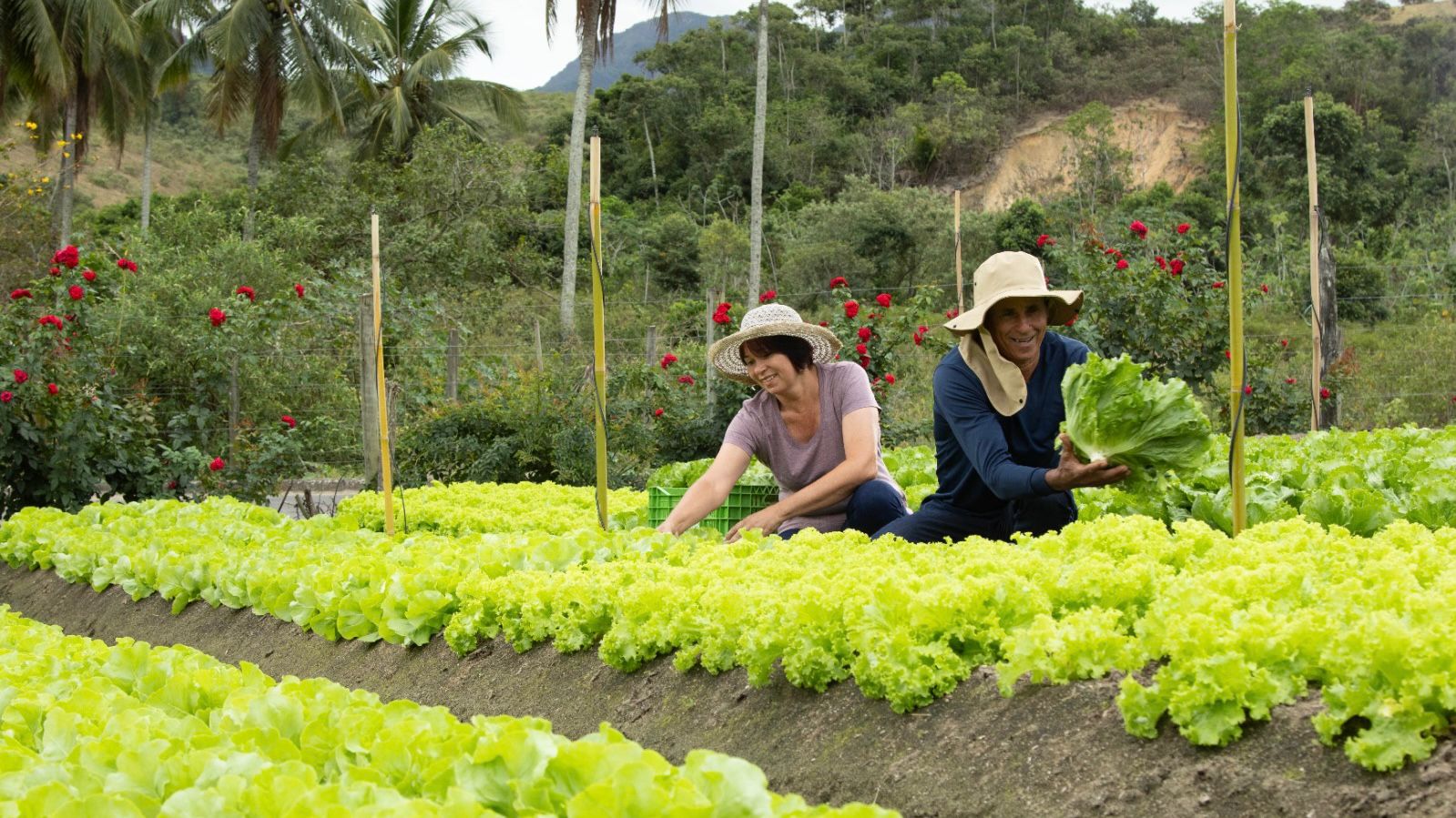 Viana abre novo edital para adesão de produtores rurais ao Pacto Ecológico Capixaba