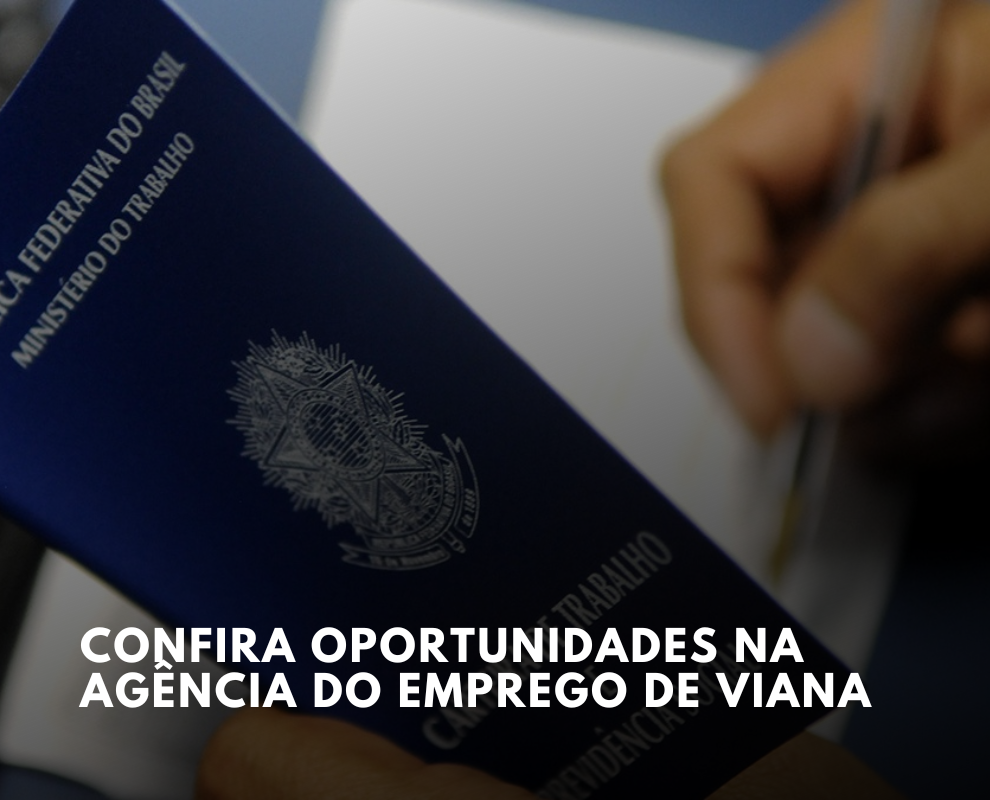 Agência do Emprego de Viana anuncia 124 oportunidades de emprego