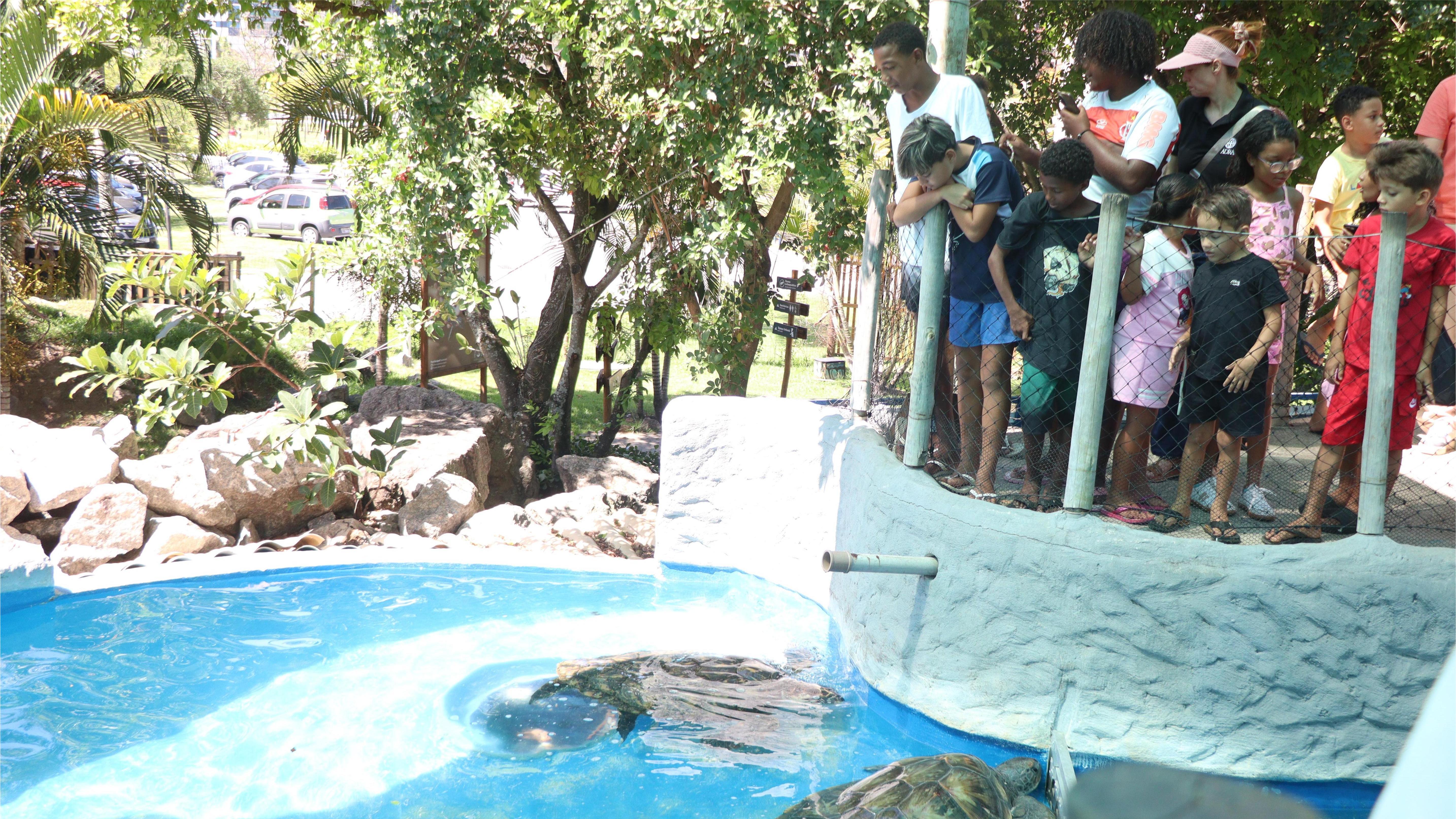 Passeio educativo ao Projeto Tamar marca programação de férias do Serviço de Convivência e Fortalecimento de Vínculos de Viana